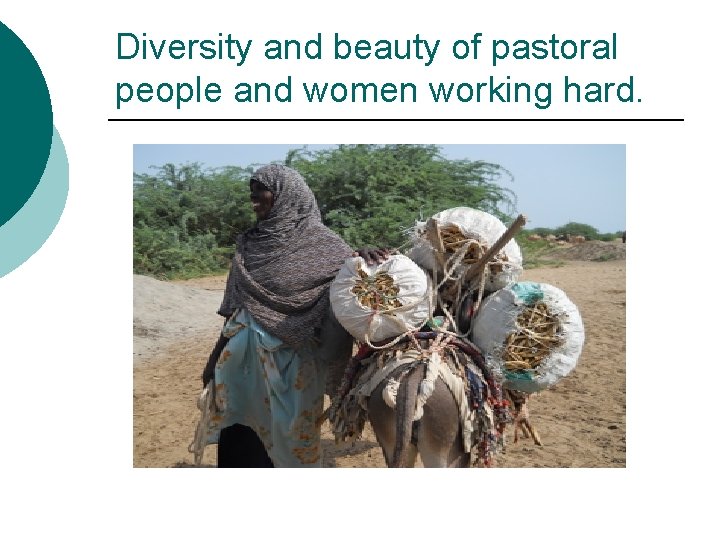 Diversity and beauty of pastoral people and women working hard. 