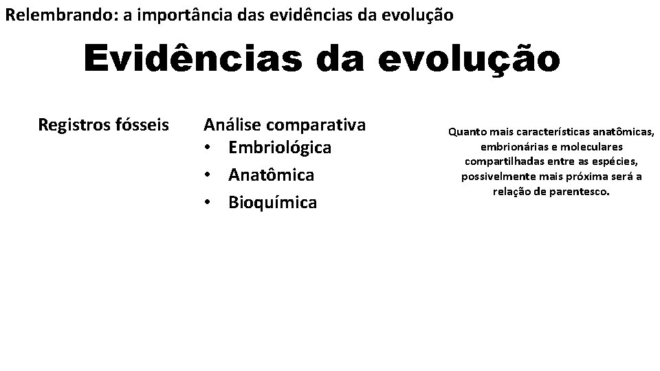 Relembrando: a importância das evidências da evolução Evidências da evolução Registros fósseis Análise comparativa