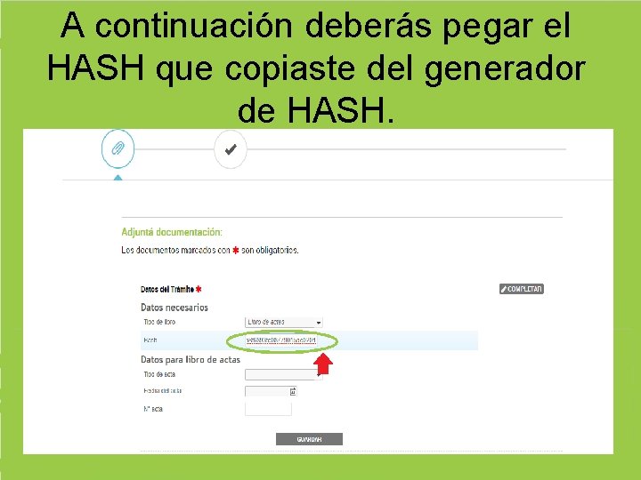 A continuación deberás pegar el HASH que copiaste del generador de HASH. 