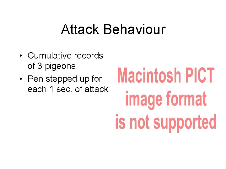 Attack Behaviour • Cumulative records of 3 pigeons • Pen stepped up for each