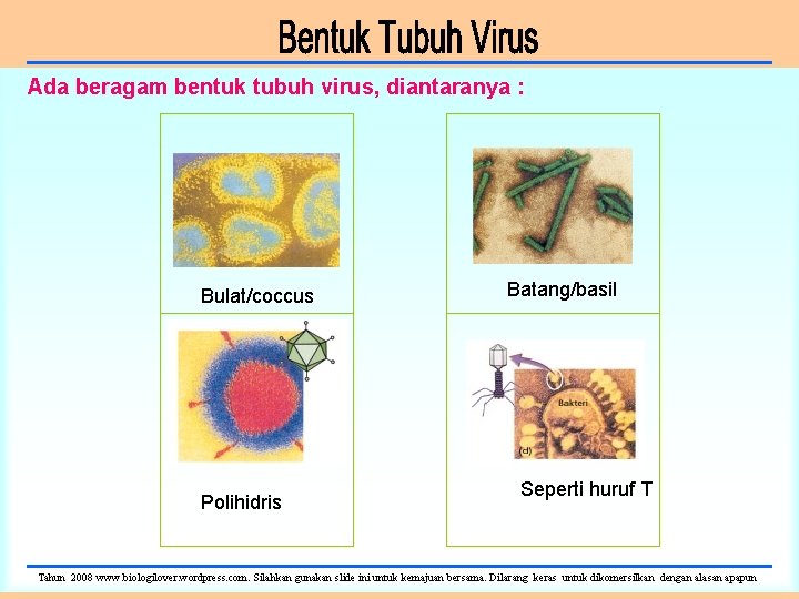 Ada beragam bentuk tubuh virus, diantaranya : Bulat/coccus Polihidris Batang/basil Seperti huruf T Tahun