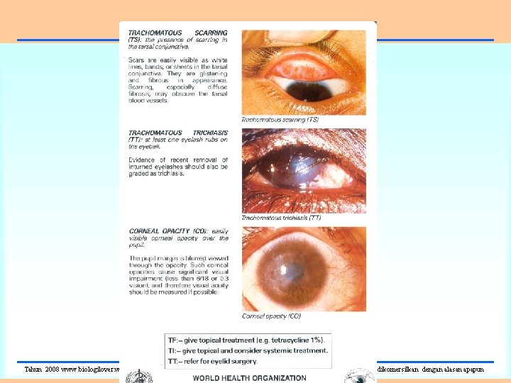Tahun 2008 www. biologilover. wordpress. com. Silahkan gunakan slide ini untuk kemajuan bersama. Dilarang