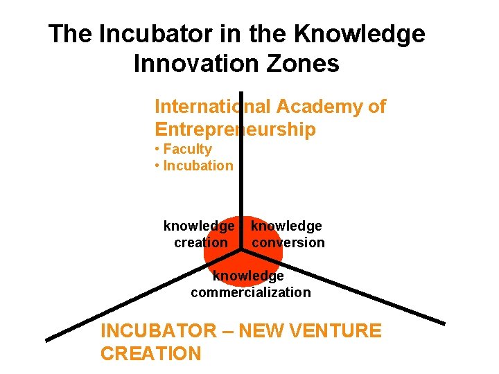 The Incubator in the Knowledge Innovation Zones International Academy of Entrepreneurship • Faculty •