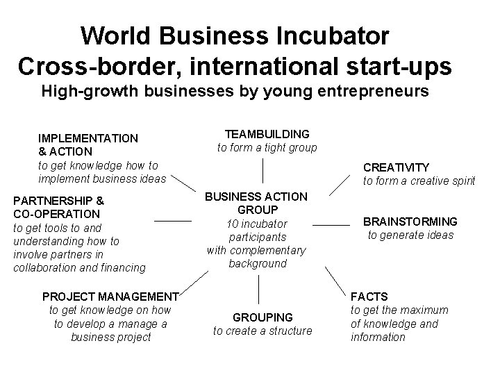 World Business Incubator Cross-border, international start-ups High-growth businesses by young entrepreneurs IMPLEMENTATION & ACTION