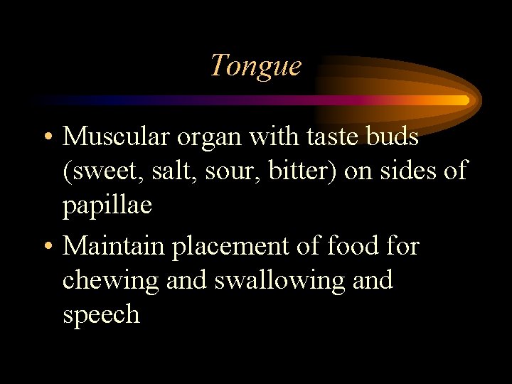 Tongue • Muscular organ with taste buds (sweet, salt, sour, bitter) on sides of