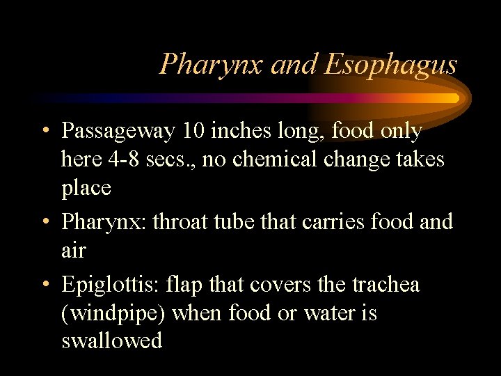 Pharynx and Esophagus • Passageway 10 inches long, food only here 4 -8 secs.