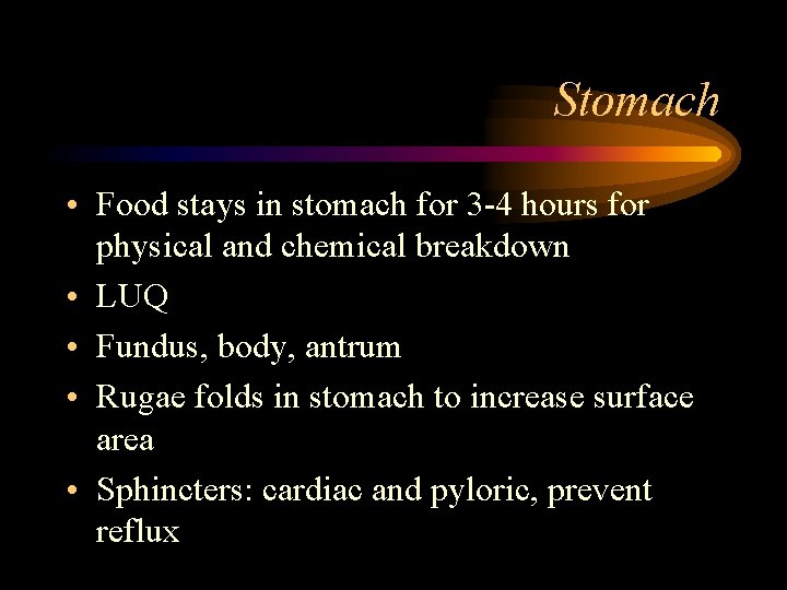 Stomach • Food stays in stomach for 3 -4 hours for physical and chemical