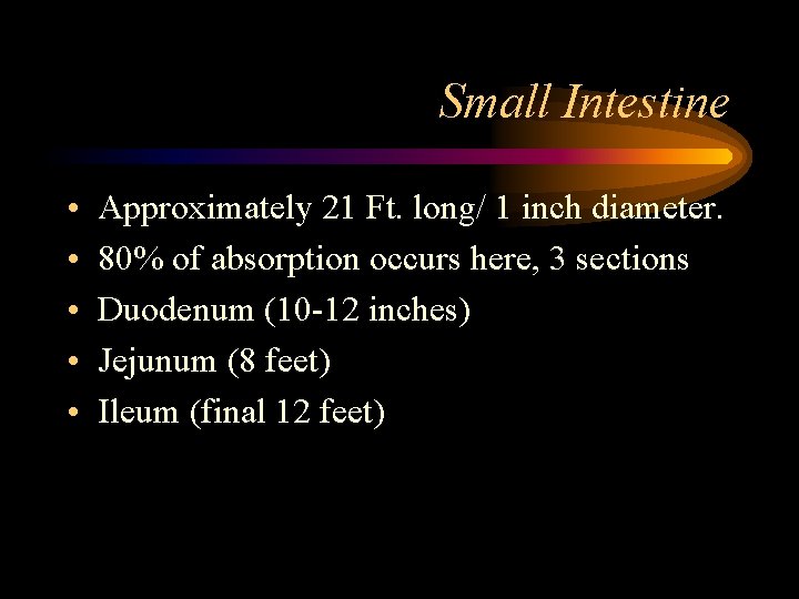 Small Intestine • • • Approximately 21 Ft. long/ 1 inch diameter. 80% of