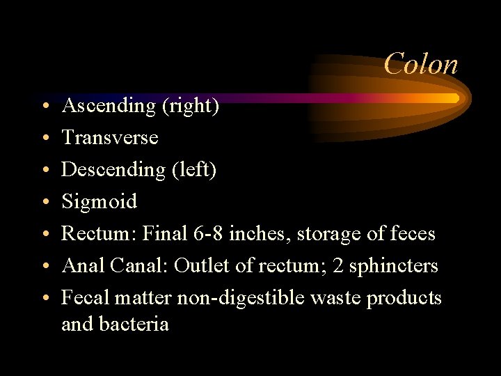 Colon • • Ascending (right) Transverse Descending (left) Sigmoid Rectum: Final 6 -8 inches,