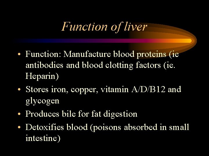 Function of liver • Function: Manufacture blood proteins (ie antibodies and blood clotting factors