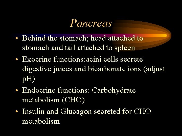 Pancreas • Behind the stomach; head attached to stomach and tail attached to spleen