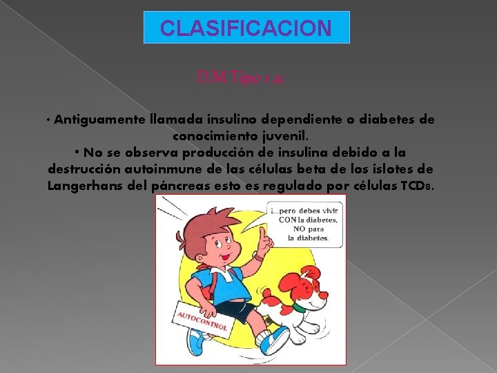 CLASIFICACION D. M Tipo 1 a: • Antiguamente llamada insulino dependiente o diabetes de
