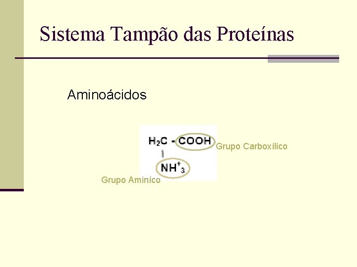Sistema Tampão das Proteínas Aminoácidos Grupo Carboxílico Grupo Aminíco 