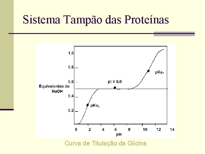 Sistema Tampão das Proteínas Curva de Titulação da Glicina 