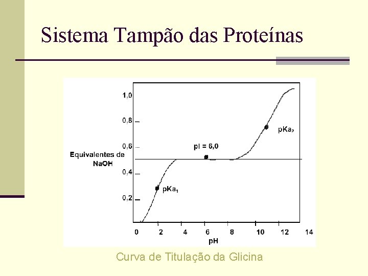Sistema Tampão das Proteínas Curva de Titulação da Glicina Sistema Tampão das Proteínas Curva de Titulação da Glicina