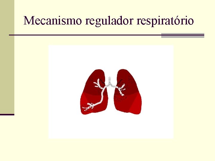 Mecanismo regulador respiratório Mecanismo regulador respiratório