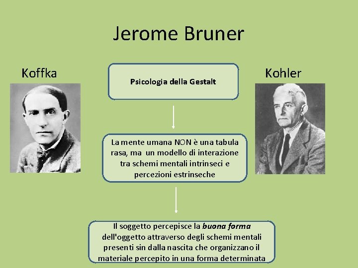 Jerome Bruner Koffka Kohler Psicologia della Gestalt La mente umana NON è una tabula