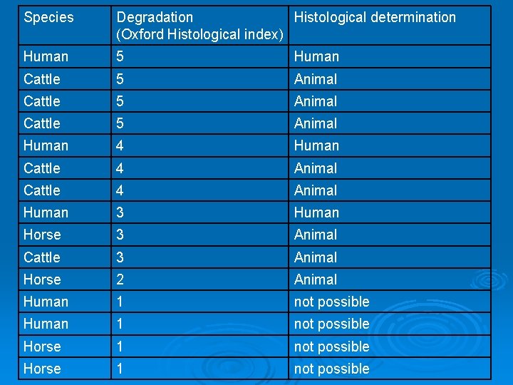 Species Degradation Histological determination (Oxford Histological index) Human 5 Human Cattle 5 Animal Human