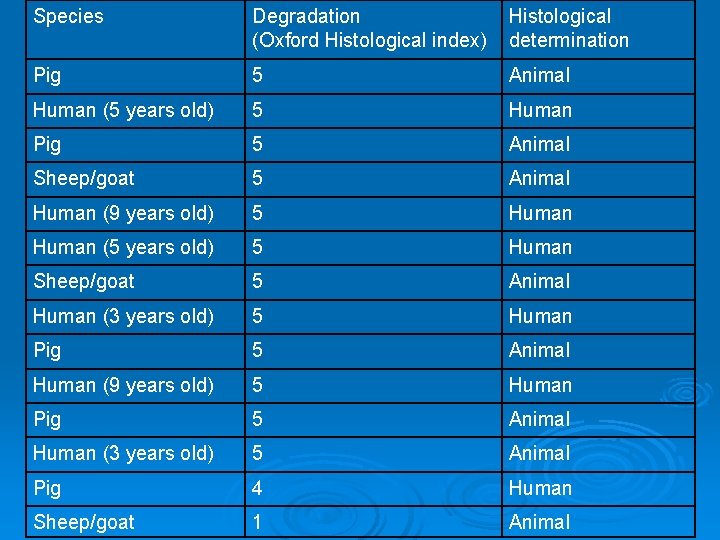 Species Degradation (Oxford Histological index) Histological determination Pig 5 Animal Human (5 years old)