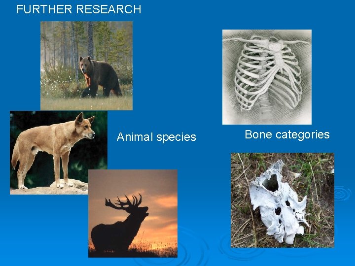 FURTHER RESEARCH Animal species Bone categories 