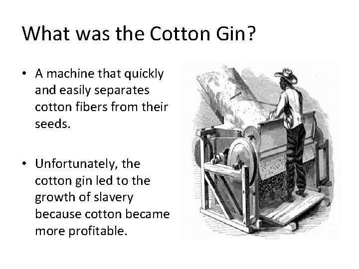 What was the Cotton Gin? • A machine that quickly and easily separates cotton