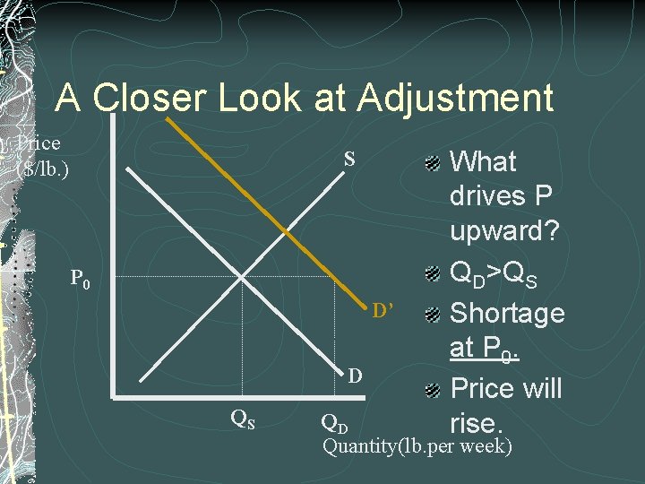 A Closer Look at Adjustment Price ($/lb. ) S P 0 D’ D QS