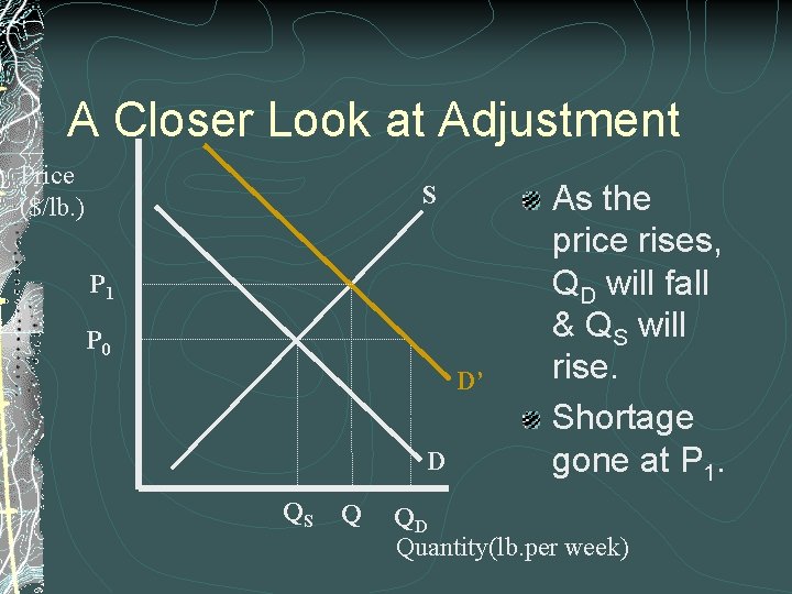 A Closer Look at Adjustment Price ($/lb. ) S P 1 P 0 D’