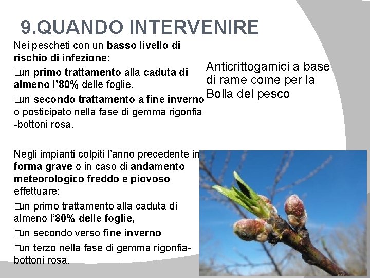 9. QUANDO INTERVENIRE Nei pescheti con un basso livello di rischio di infezione: Anticrittogamici
