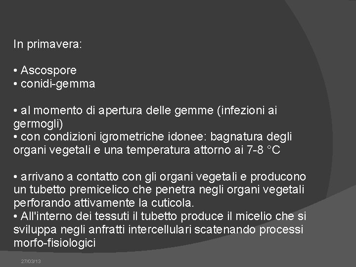 In primavera: • Ascospore • conidi-gemma • al momento di apertura delle gemme (infezioni