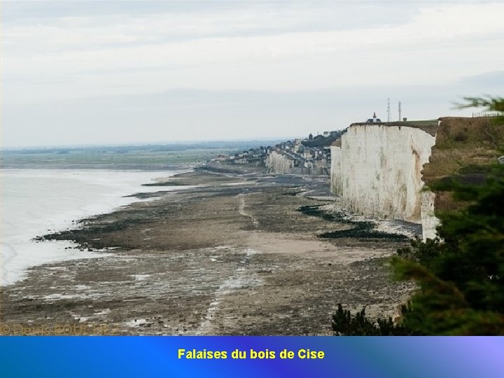 Falaises du bois de Cise 