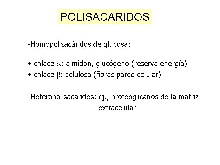 POLISACARIDOS -Homopolisacáridos de glucosa: • enlace a: almidón, glucógeno (reserva energía) • enlace b: