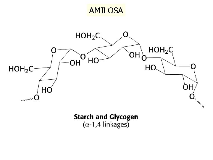 AMILOSA 