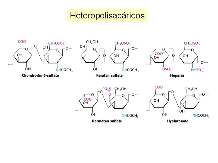 Heteropolisacáridos 