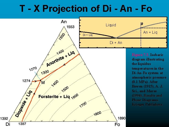 T - X Projection of Di - An - Fo Liquid a An +