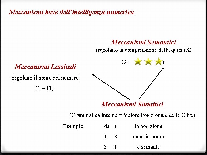 Meccanismi base dell’intelligenza numerica Meccanismi Semantici (regolano la comprensione della quantità) Meccanismi Lessicali (3