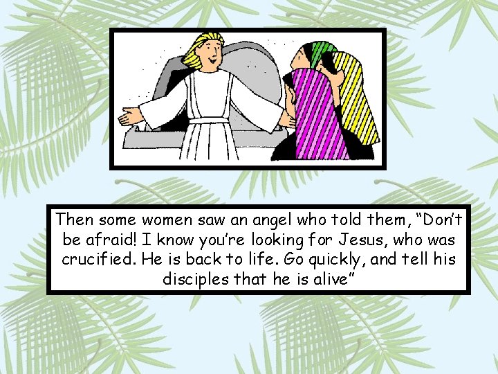 Then some women saw an angel who told them, “Don’t be afraid! I know
