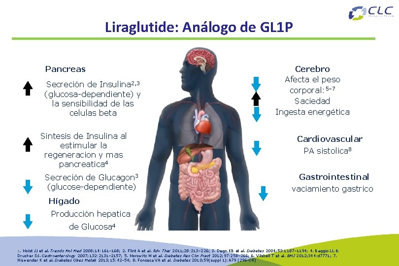 Liraglutide: Análogo de GL 1 P Pancreas Secreción de Insulina 2, 3 (glucosa-dependiente) y