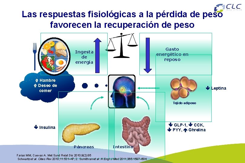 Las respuestas fisiológicas a la pérdida de peso favorecen la recuperación de peso Gasto