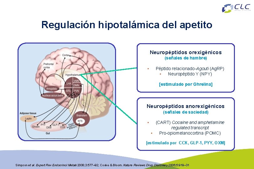 Regulación hipotalámica del apetito Neuropéptidos orexigénicos (señales de hambre) • Péptido relacionado-Agouti (Ag. RP)