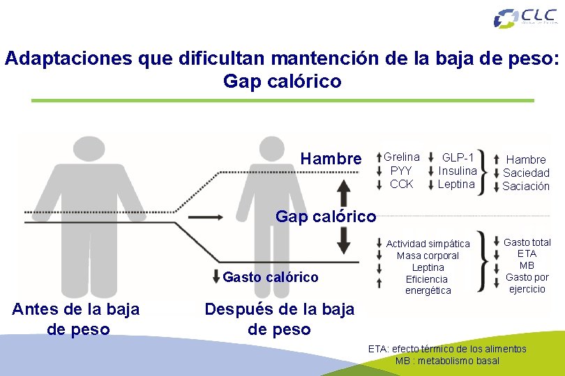 Adaptaciones que dificultan mantención de la baja de peso: Gap calórico Hambre Grelina PYY