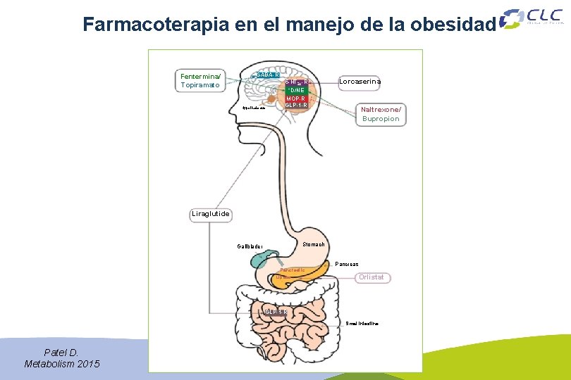 Farmacoterapia en el manejo de la obesidad Fentermina/ Topiramato GABA-R Hypothalamus 5 -HT 2