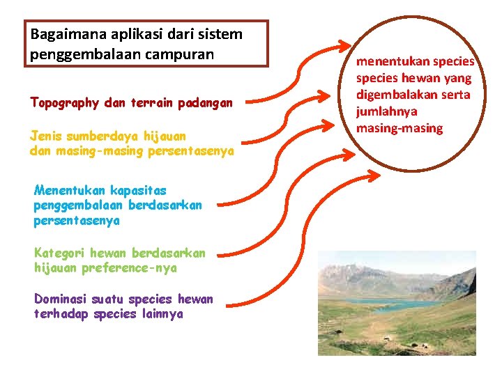 Bagaimana aplikasi dari sistem penggembalaan campuran Topography dan terrain padangan Jenis sumberdaya hijauan dan