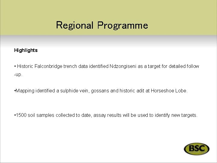 Regional Programme Highlights • Historic Falconbridge trench data identified Ndzongiseni as a target for
