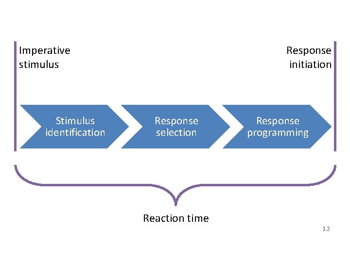 Imperative stimulus Stimulus identification Response initiation Response selection Reaction time Response programming 12 