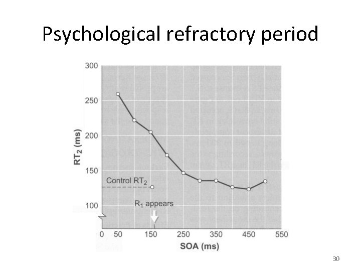 Psychological refractory period 30 