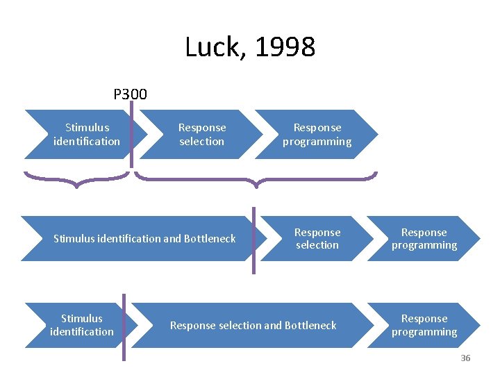 Luck, 1998 P 300 Stimulus identification Response selection Stimulus identification and Bottleneck Stimulus identification