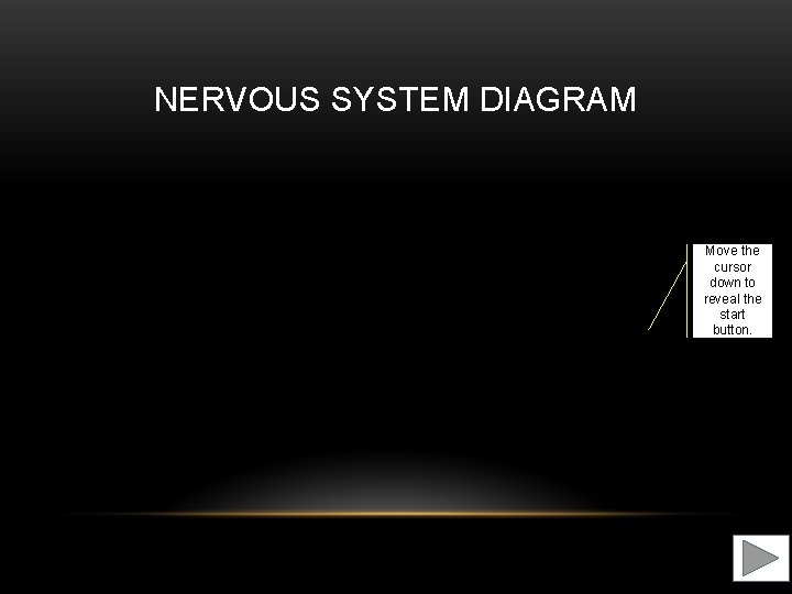 NERVOUS SYSTEM DIAGRAM Move the cursor down to reveal the start button. 