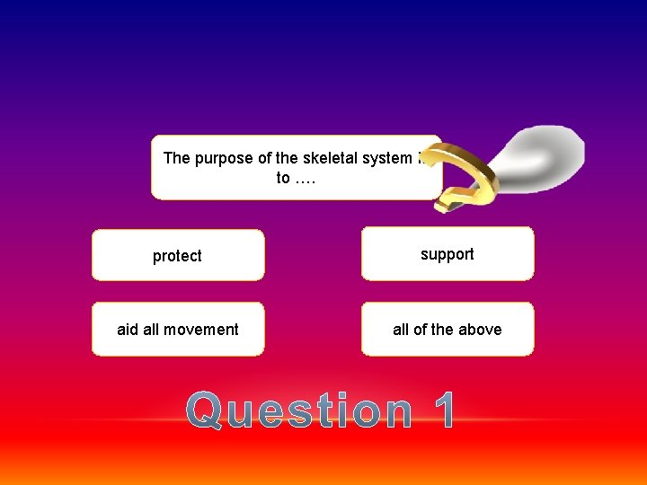 The purpose of the skeletal system is to …. protect support aid all movement