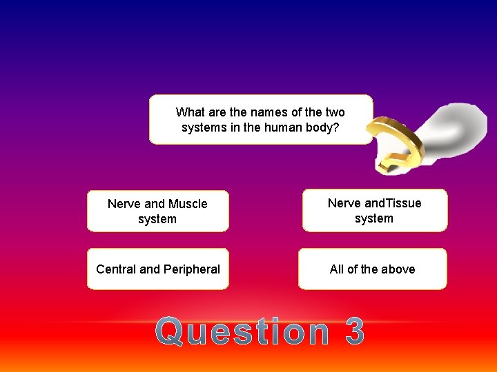 What are the names of the two systems in the human body? Nerve and