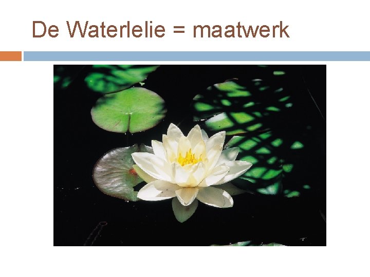 De Waterlelie = maatwerk 